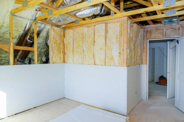 Best Eco-Friendly Insulation in South Kensington, MD