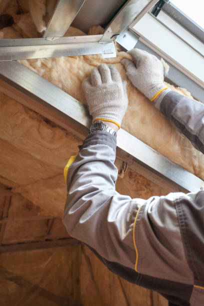 Professional Insulation Contractor in South Kensington, MD